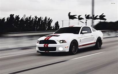 Mustang Wallpapers Shelby