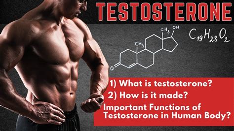 The A To Z Of Testosterone Everything You Need To Know Episode Testosterone Series Youtube