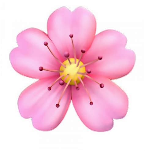 10 Flower Emoji Png Transparent Gravador De Tela Flor Emoji Gravador