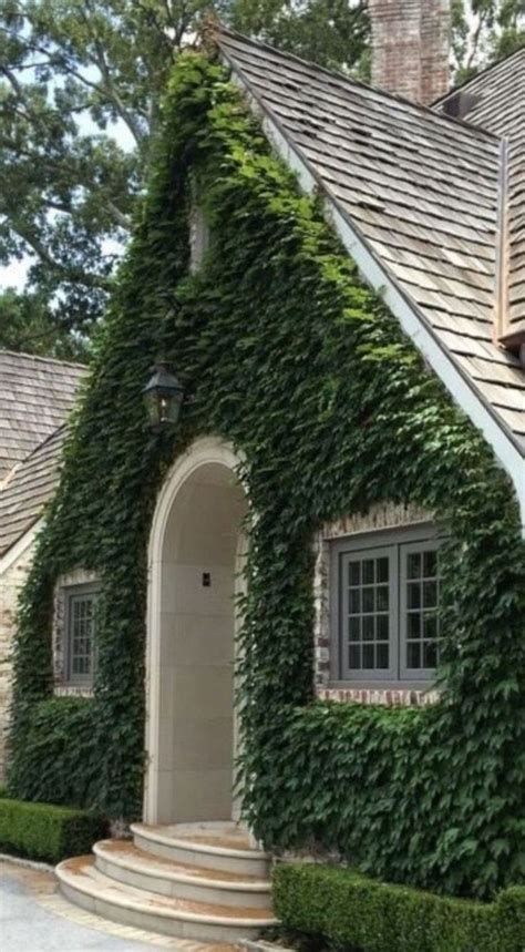 Pretty Evergreen Vines Ideas For Home20 House Exterior Beautiful