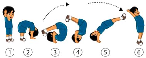 Gambar vector gerakan 5 m : Cara Melakukan Gerakan Guling Lenting Pada Senam Lantai ...