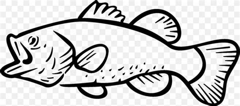 Bass Fishing Largemouth Bass Clip Art Png 1000x445px Bass Area Arm