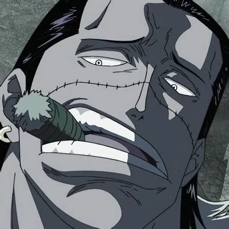 Luffy and his straw hat pirates. Image - Crocodile Impel Down Prisoner Portrait.png | One Piece Wiki | Fandom powered by Wikia