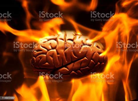 Burning Brain Stock Photo Download Image Now Burning Anatomical