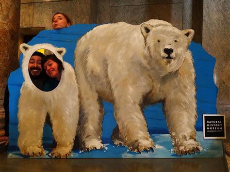 Natural History Museum Of Los Angeles Polar Bear Interacti Flickr