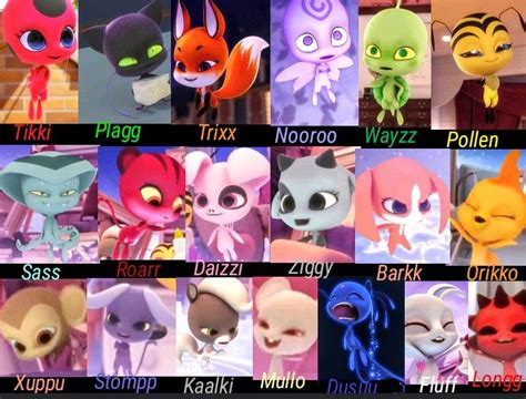 I Made A Layout Of All The Kwamis Seen In The Show And Their Names