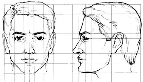 Cómo dibujar un rostro paso a paso Pintando org Portrait drawing