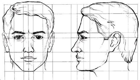 ¿cómo Dibujar Un Rostro Paso A Paso Cuerpo Humano