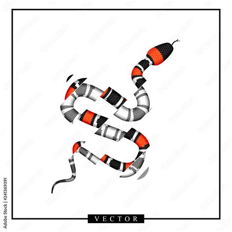 Vector Graphic Illustration Of Coral Snake Or Micrurus Isolated Stock