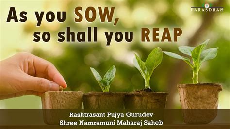 Usually used to say that something bad is likely to result from an activity etymology: As You Sow So Shall you Reap! | Rashtrasant Pujya Gurudev ...