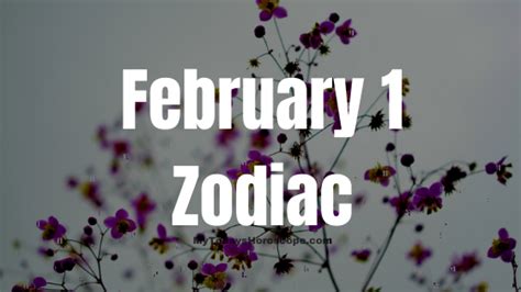Born In February Birthday Horoscope Astrological Prediction For