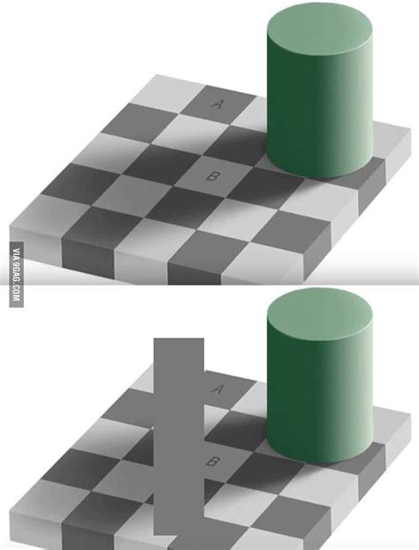 Optical Illusion The Squares A And B Have The Same Color Amazing