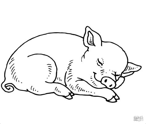 Baby Pig Cute Pig Coloring Pages : Free Printable Pig Coloring Pages