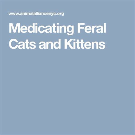 Medicating Feral Cats And Kittens Feral Cats Cats And Kittens Medical