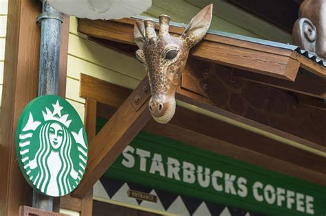 Or canada are accepted at most starbucks locations in north america, including airport and grocery locations. Can I Use My Starbucks Gift Cards at Walt Disney World?