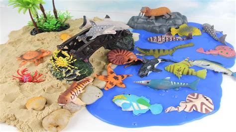 Learn Sea Animals Names For Children Kids Toy Water Ocean Beach Sand