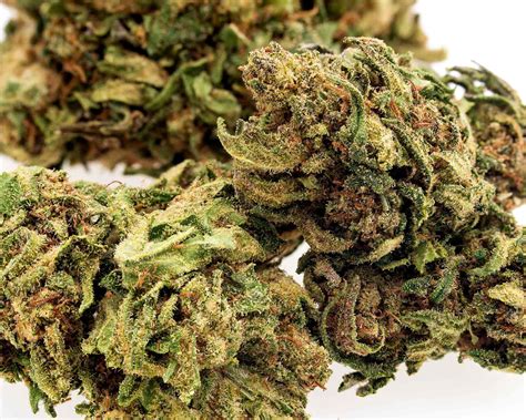 Durban Poison Cbd Hemp Flower 185 Cannabinoids For Sale Ihf Llc