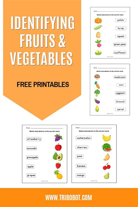 Identifying Fruits And Vegetables Learning Worksheets