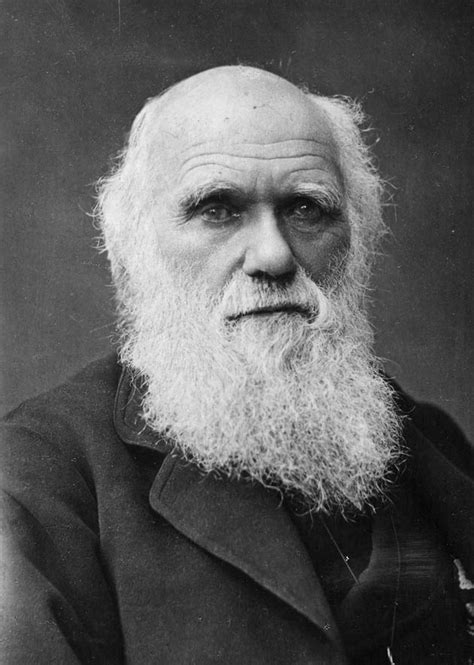 Garry Walkers Blog Charles Darwin Quotes