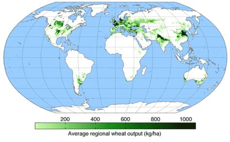 Konsum Von Getreide Weltweit