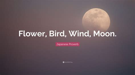 Japanese Proverb Quote Flower Bird Wind Moon