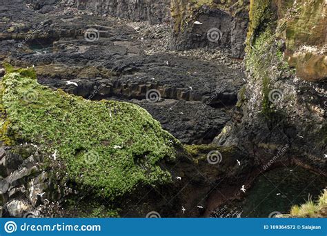 Londrangar Basalt Cliffs In Iceland Stock Photo Image Of Hellnar
