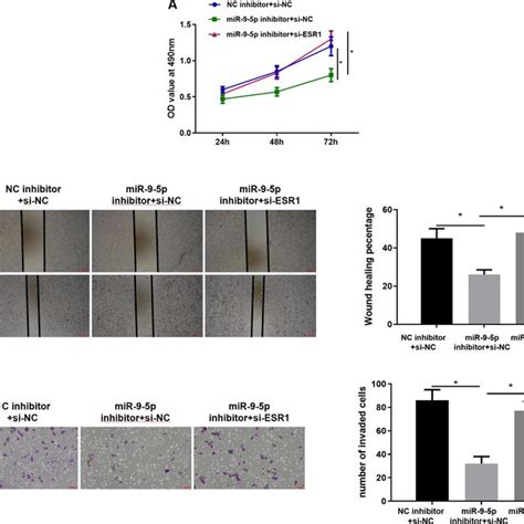 mir 9 5p improves proliferation migration and invasion abilities of download scientific