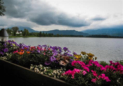 Scenic Landscape With Lake And Flowers In Bavaria Stock Photo Image