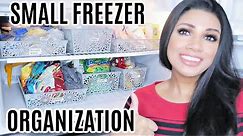 How To: Organize a Small Freezer with Dollar Tree Baskets