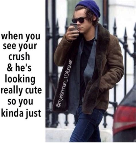 These funny memes girls are just what you are looking for. Crush Memes We Like | Crush memes, Funny crush memes, Funny teenager posts crushes