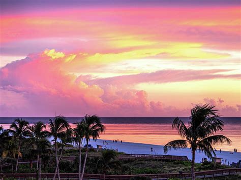 Palms In A Pastel Sky Photograph By David Choate Fine Art America