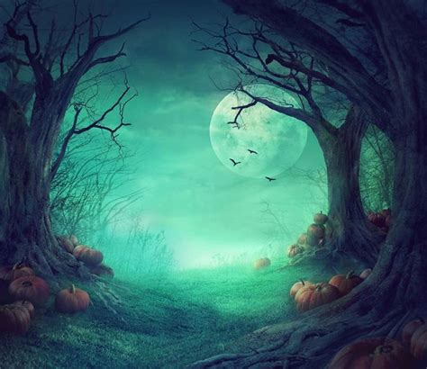 Spooky Halloween Woods Wallpaper Mural Murals Your Way Halloween