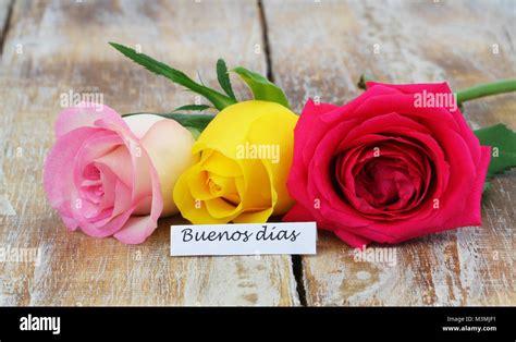 Buenos Dias Good Morning In Spanish Card With Three Colorful Roses On