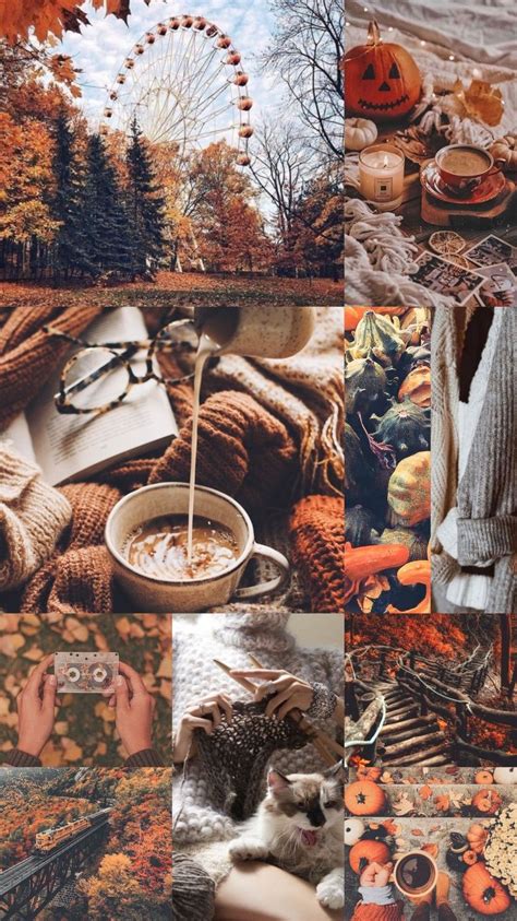 30 Cute Brown Aesthetic Wallpapers For Phone Autumn Brown I Take You