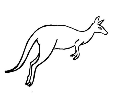 Kangaroo in pouch coloring page. Kangaroo coloring pages