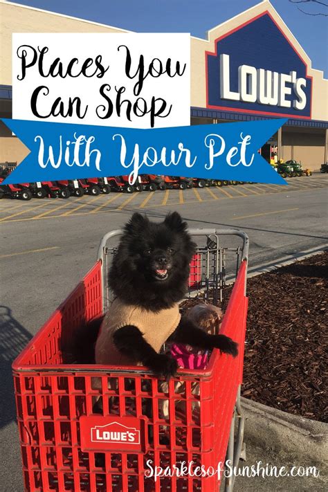 7 Stores That Allow Your Pets To Shop With You Sparkles Of Sunshine