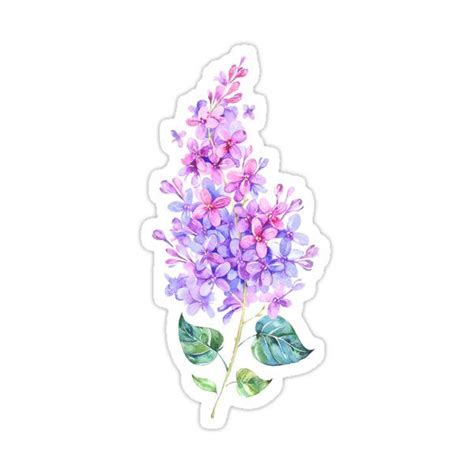 Lilac Spray Sticker For Sale By Pennycoolcat Watercolor Stickers