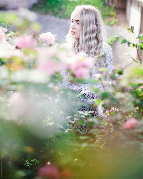 Young Beautiful Woman With Grey Hair And Blue Eyes In Roses By Maja