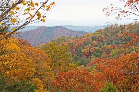 Fall Foliage In Virginia Virginia Department Of Forestry Virginia