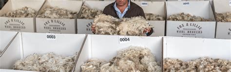 Australian Wool Export Fox And Lillie Rural