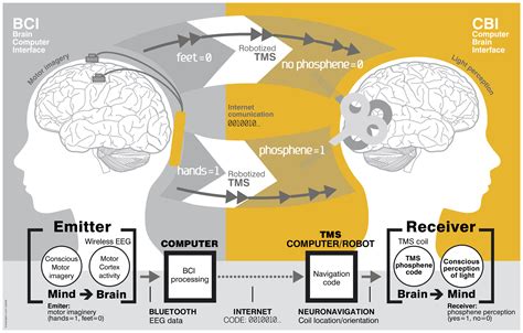 Direct Brain To Brain Communication Used In Humans Iflscience