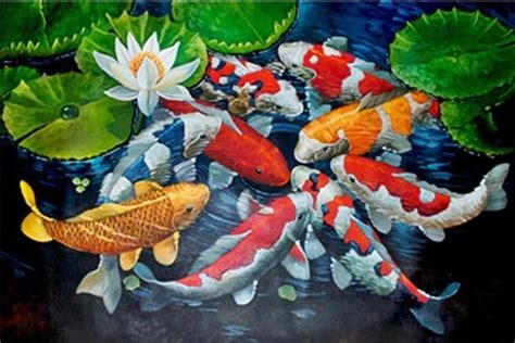 Koi Painting Feng Shui Koi Fish Feng Shui Painting For Sale Free