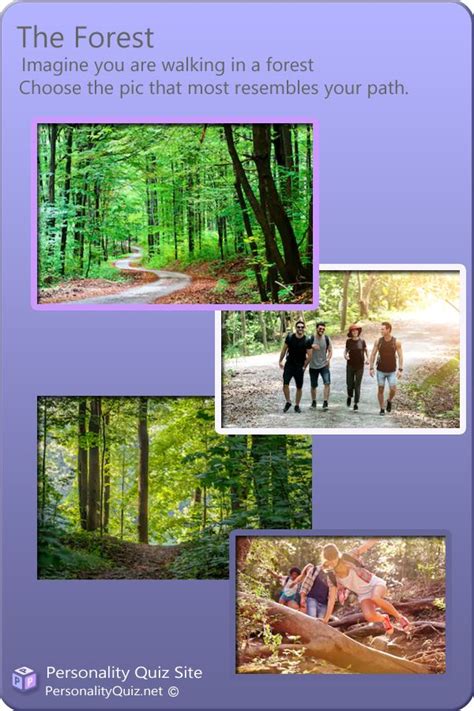 Forest Quiz Path Personality Quiz Facing Challenges Quiz