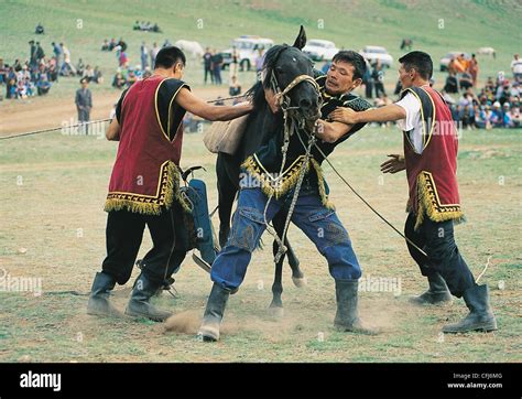 Altai People Catching Horses In El Oyun Festival Ukok Plain Altai