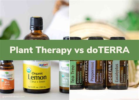 Plant Therapy Vs Doterra Which Should You Use