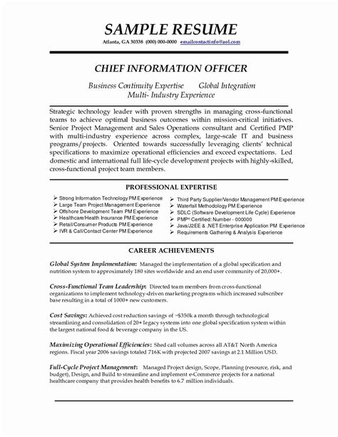 Career Summary Statement Examples Indo Maritime Institute