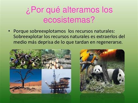 6ºcm05 El Ser Humano En Los Ecosistemas