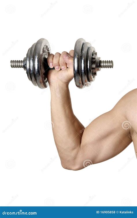 Mano Masculina Muscular Con Pesa De Gimnasia Del Hierro Foto De Archivo Imagen De Masculino