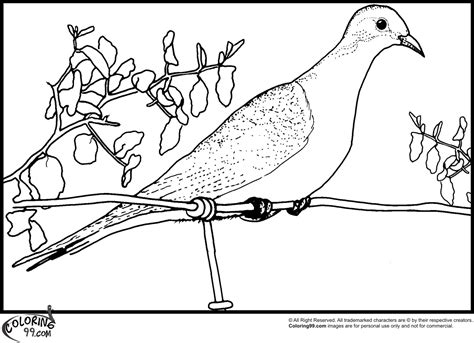 A dove is a bird from. Dove Coloring Pages | Team colors