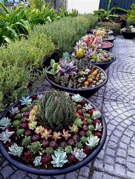50 Fresh And Beautiful Container Garden Flowers Ideas Succulent